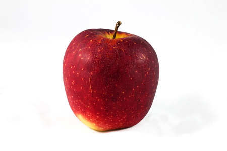 The red apple on the white background の写真素材