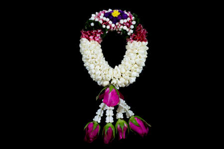 The jasmine garland from thailand on the black background の写真素材