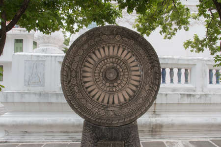 The cycle of lifeの写真素材