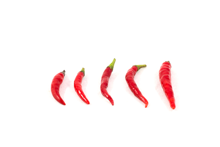 Red chilli peppers on white backgroundの写真素材