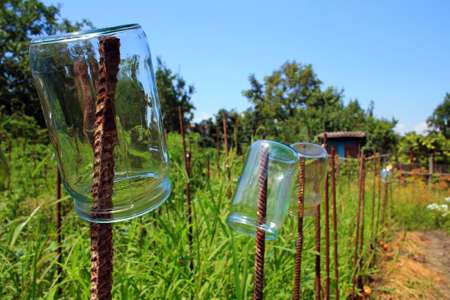 glass jars for vegetable canned food on the dachaの写真素材
