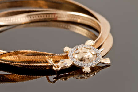 Gold pendant in the shape of a turtle with a gold chainの写真素材