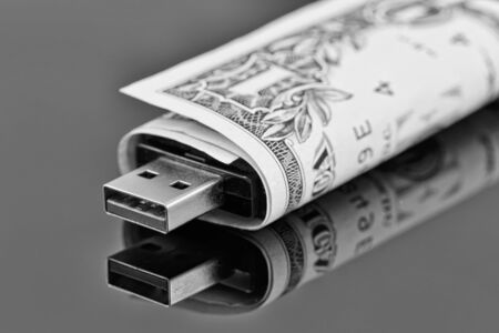 Portable USB flash drive is wrapped in a dollarの写真素材