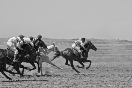 SMALL CHAPURNIKI, VOLGOGRAD, RUSSIA - MAY 24:The fight for the leading position in the race horses during the horse races devoted to celebration of the Sabantuy . May 24, 2014 in Volgograd, Russia.のeditorial素材