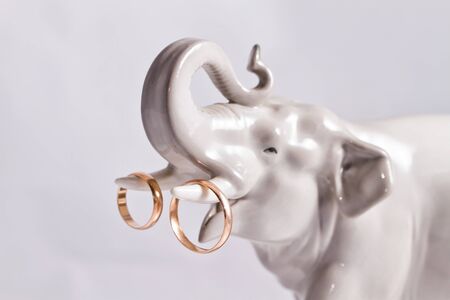 Gold wedding rings worn by tusks of gray porcelain elephant figurineの写真素材