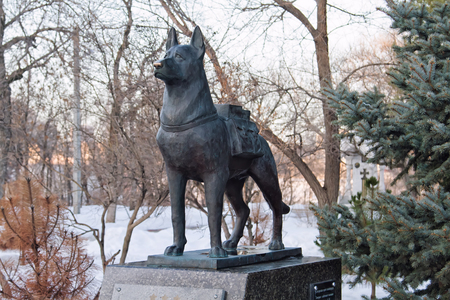 VOLGOGRAD - JANUARY 30: Monument dogs - the demolition of tanks during the great Patriotic war. January 30, 2016 in Volgograd, Russia.のeditorial素材