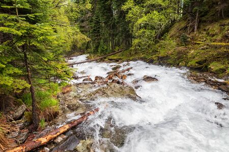 Stormy mountain river goes down into the valley immediately after the waterfallの写真素材