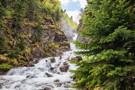 Rapid rapid mountain waterfall among the pine forestの写真素材