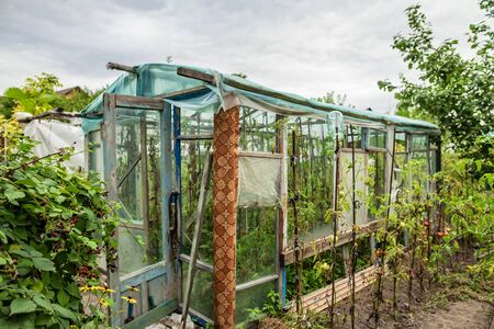 Construction of a greenhouse in the garden from scrap materials and old junkの写真素材