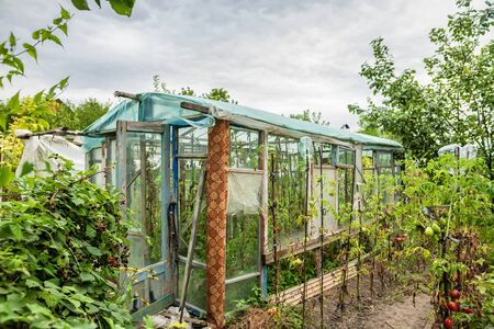 Construction of a greenhouse in the garden from scrap materials and old junkの写真素材
