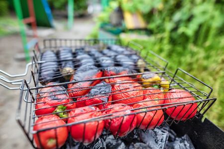 Frying fresh vegetables in the grill on the coals for the preparation of "hot" salad. In the grill on the grill are eggplants, tomatoes and bell peppersの写真素材