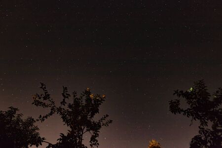 Night sky with bright stars. The sky of the Northern hemisphere in summerの写真素材