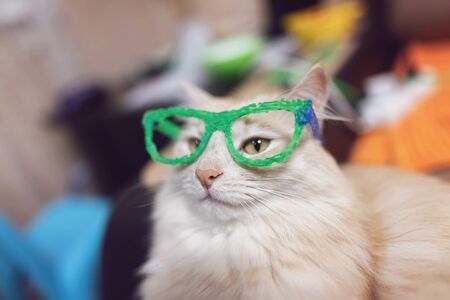 Domestic cat of red and white color tries on glasses drawn with a 3D penの写真素材