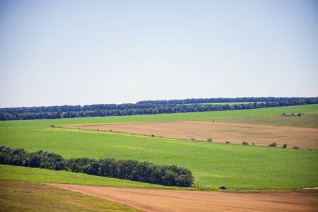 Summer landscape with green forest strips and agricultural fields against the background of mountains and clouds. View from a mountain elevationの写真素材