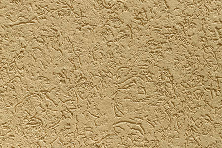 Pattern of decorative plaster "bark beetle" on the wall of the house.の写真素材