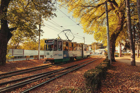 PYATIGORSK - OCTOBER 10: City tram rides through the autumn streets in the tourist center. October 10, 2020 in Pyatigorsk, Russia.のeditorial素材