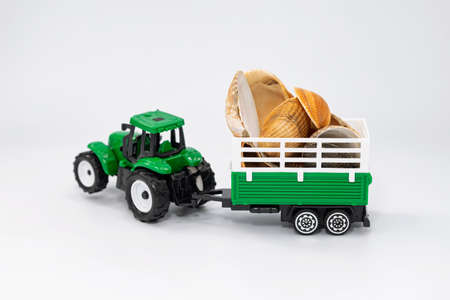 Toy green tractor carries various seashells in a trailer