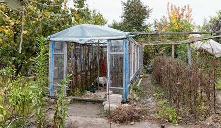 View of the greenhouse made of old window frames and improvised materials. The autumn season after the harvestの写真素材