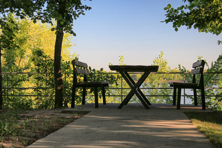 A place to relax in nature under the green trees is equipped with benches and a wooden tableの写真素材