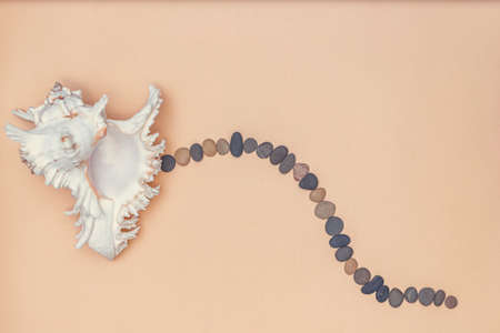 A path of small sea stones leads to a large seashell