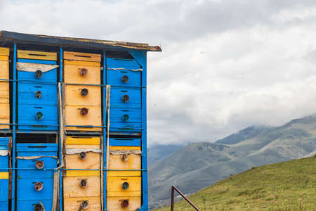 Old beehives on a mobile apiary, which is transported to different places of mountain revenge with flowering herbsの写真素材