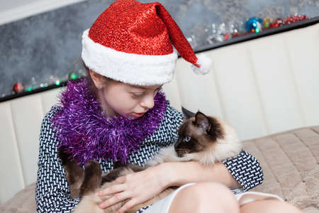 A pretty girl plays with a Siamese cat on New Years Eve praisersの写真素材