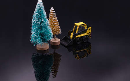 Concept : cutting down coniferous forests before the Christmas holidaysの写真素材