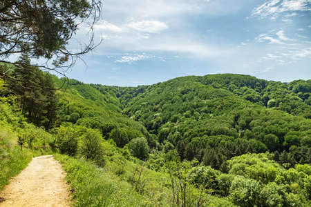 Mountain road in a beautiful green summer parkの写真素材