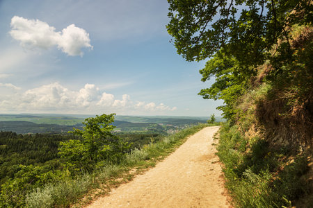 Mountain road in a beautiful green summer parkの写真素材