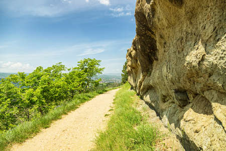 Mountain road in a beautiful green summer parkの写真素材