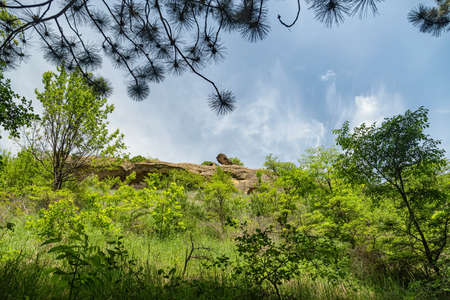 Views of rock ledges of different shapes through the forest thicketsの写真素材