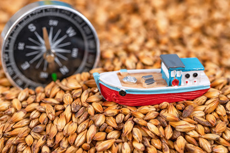 Concept: problems with the transportation of grain to world markets