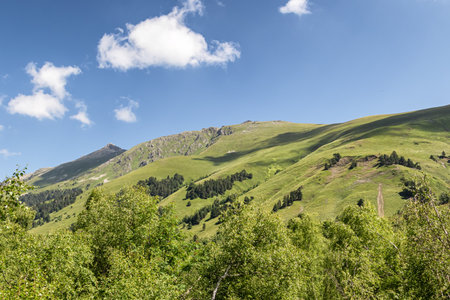 Mountain slopes with dense green vegetation. Summer landscapeの写真素材