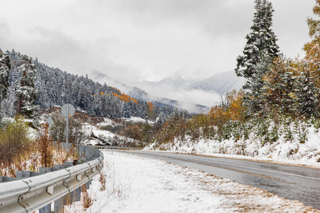 A winter road winds through snow-covered trees and mountains, creating an atmosphere of tranquility and privacyの写真素材