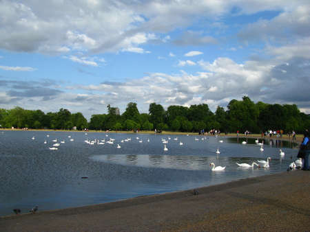 The Round pond -Hyde park - Londonの写真素材