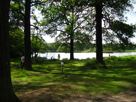 Richmond park - londonの写真素材