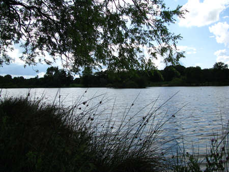 Richmond Parkの写真素材