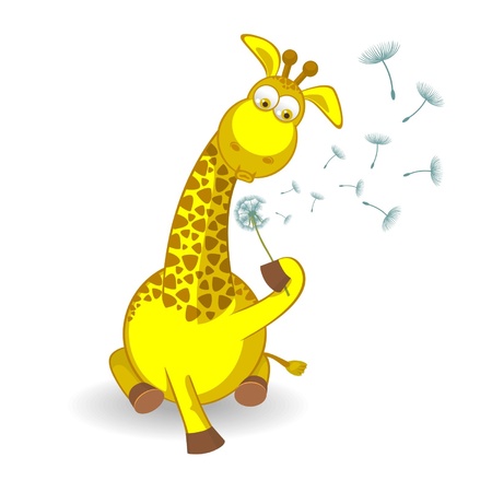 Giraffe with a dandelion isolated on white backgroundのイラスト素材