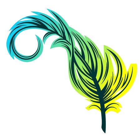 Bird featherのイラスト素材