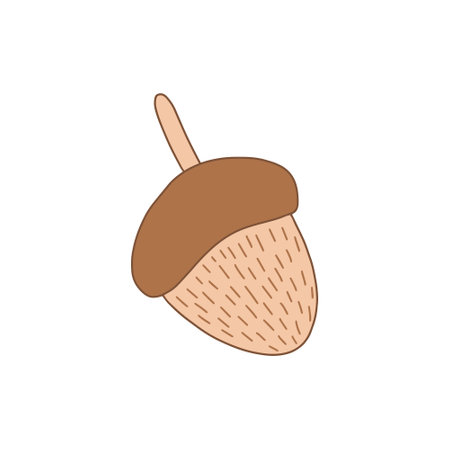 acorn doodle icon, vector color illustrationのイラスト素材