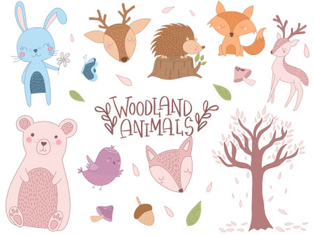 Cute woodland animals collection. Hand drawn vector illustration in scandinavian style.のイラスト素材