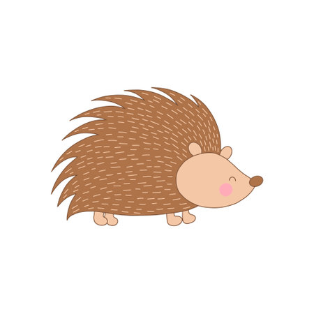 Cute cartoon hedgehog. Vector illustration isolated on white background.のイラスト素材