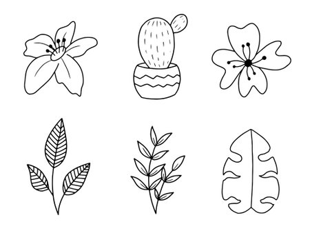 Set of vector hand drawn doodle tropical plants, flowers and leaves.のイラスト素材