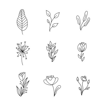 Set of hand drawn doodle floral elements. Vector illustration.のイラスト素材