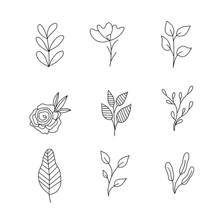 Set of hand drawn doodle floral elements. Vector illustration.のイラスト素材