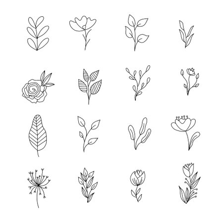 Hand drawn set of flowers and leaves. Vector illustration in doodle style.のイラスト素材