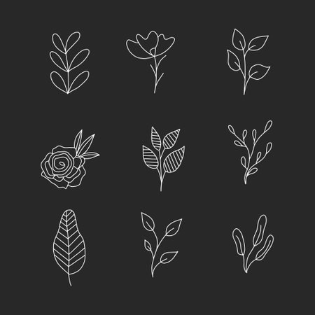 Flowers and leaves chalk white icons set on black background. Botanical design elements. Isolated vector chalkboard illustrationsのイラスト素材