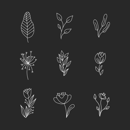 Flowers and leaves chalk white icons set on black background. Botanical elements collection. Floral botanical design. Isolated vector chalkboard illustrationsのイラスト素材