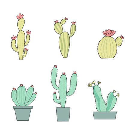 Set of Cute cartoon cactus and succulents drawing. Cacti doodle illustration set. can be used for cards, invitations or like stickerのイラスト素材