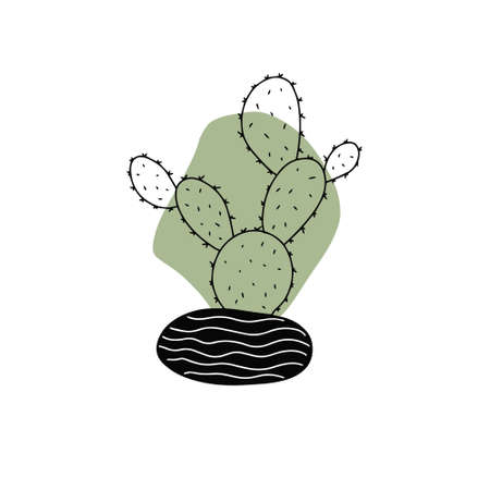 Set of Cute cartoon cactus and succulents drawing. Cacti doodle illustration set. can be used for cards, invitations or like stickerのイラスト素材